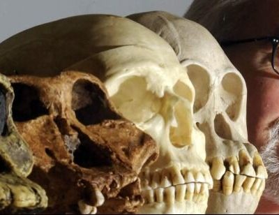 ¿De dónde vienen mis ancestros?